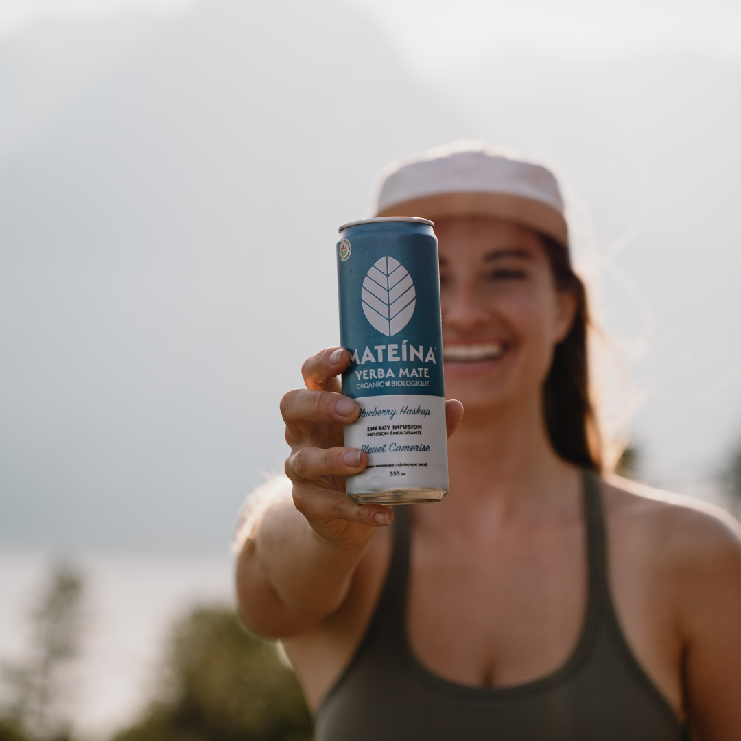 Yerba Mate Canadian Organic Natural Caffeine Plant