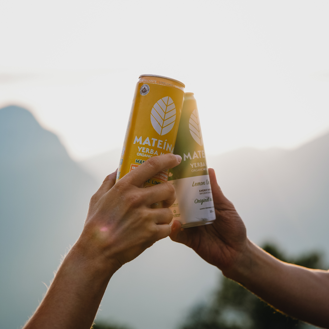 Yerba Mate Canadian Organic Natural Caffeine Plant